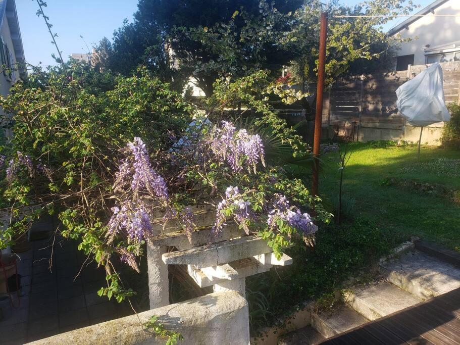 Studio Buena Vista Avec Terrasse Sur Jardin Bron Exteriér fotografie